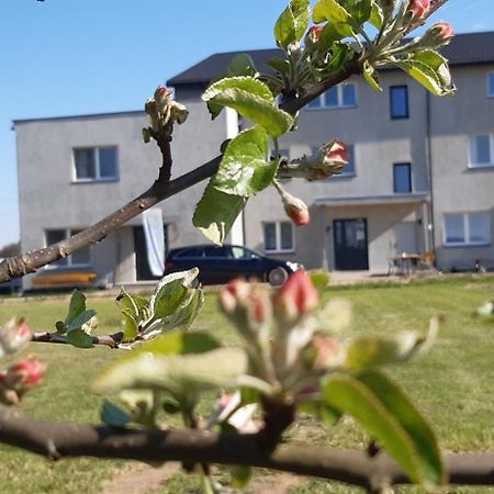 Noclegi Nad Biebrza Stara Szkola Wrocen Экстерьер фото