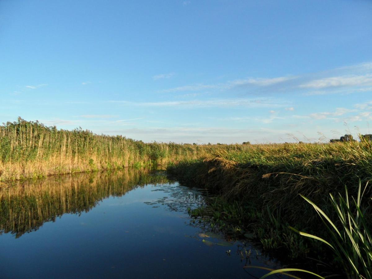 Noclegi Nad Biebrza Stara Szkola Wrocen Экстерьер фото