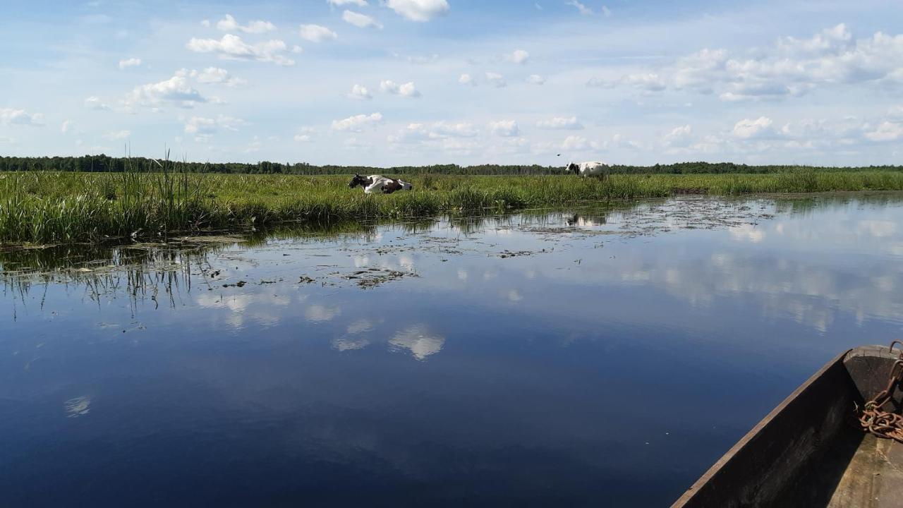 Noclegi Nad Biebrza Stara Szkola Wrocen Экстерьер фото