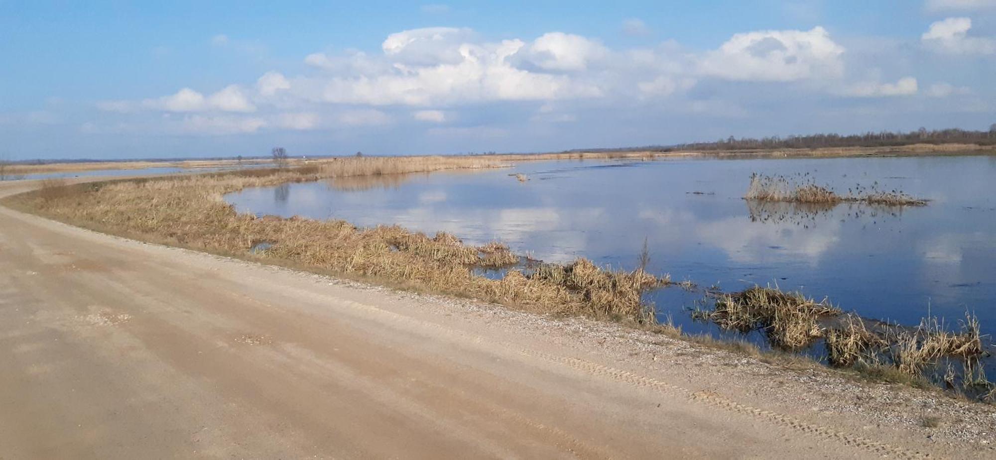 Noclegi Nad Biebrza Stara Szkola Wrocen Экстерьер фото