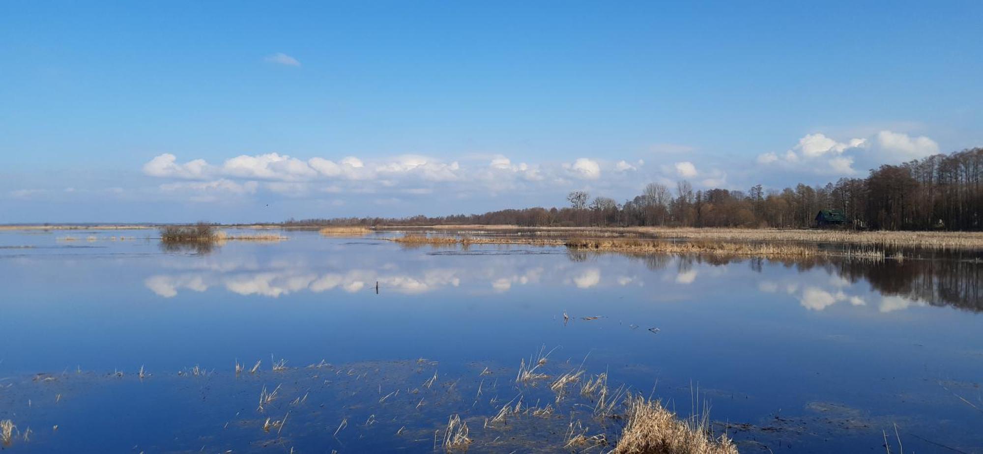 Noclegi Nad Biebrza Stara Szkola Wrocen Экстерьер фото